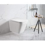 Enox 66 Rimless Wall Hung Toilet Pan Only